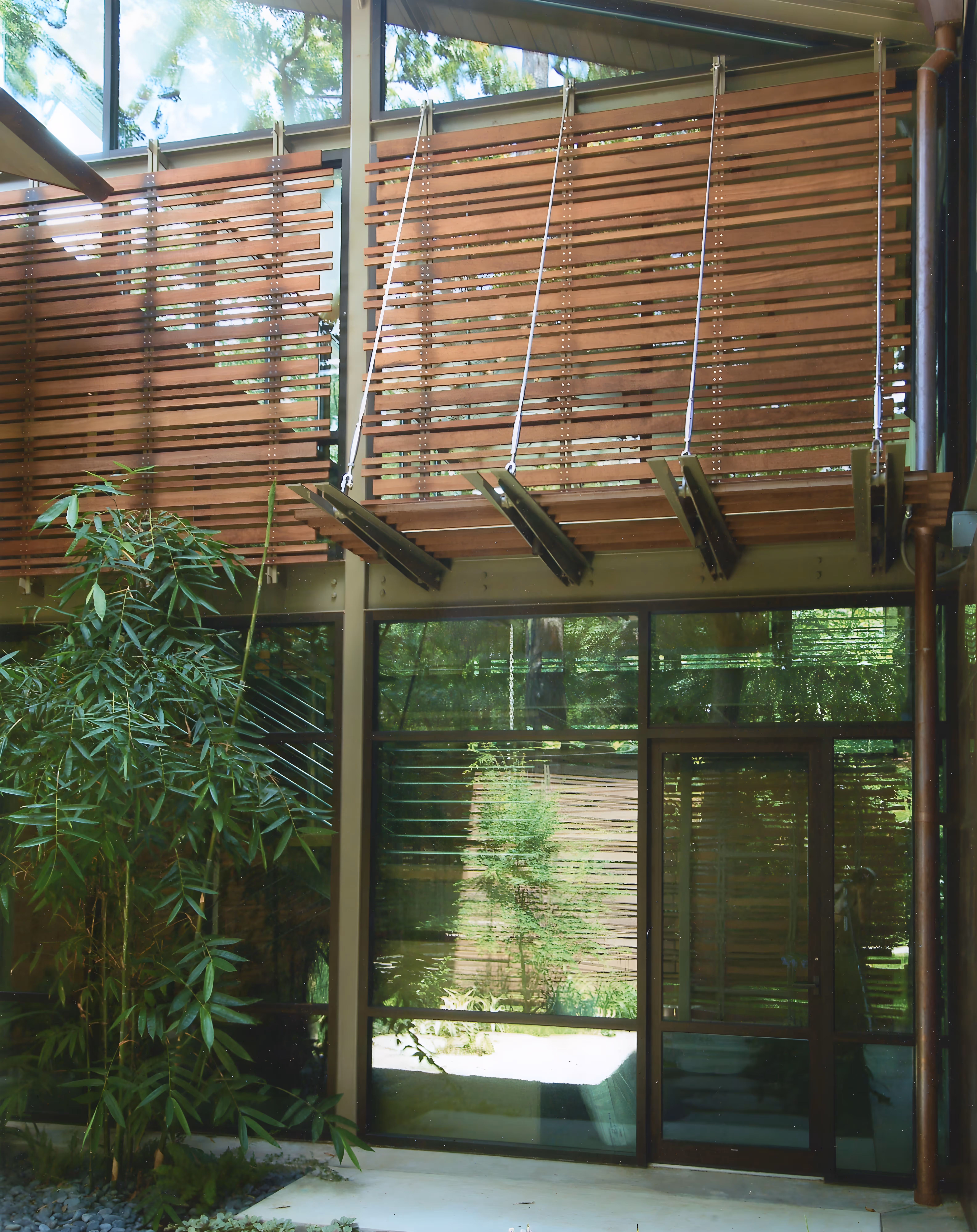 Enclosed indoor bamboo garden.